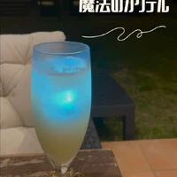 画像483