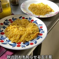 画像485