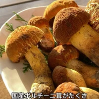 画像491
