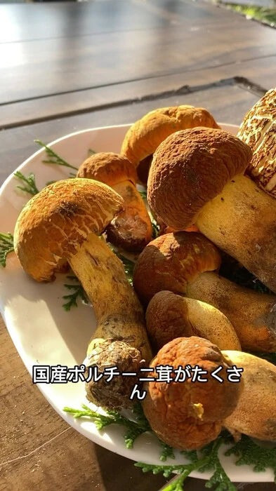 画像491
