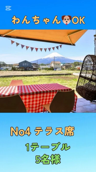 画像538