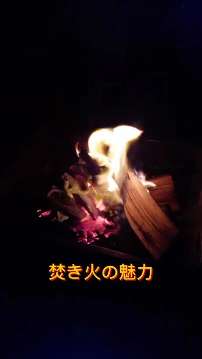 画像921