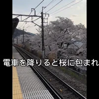 画像923