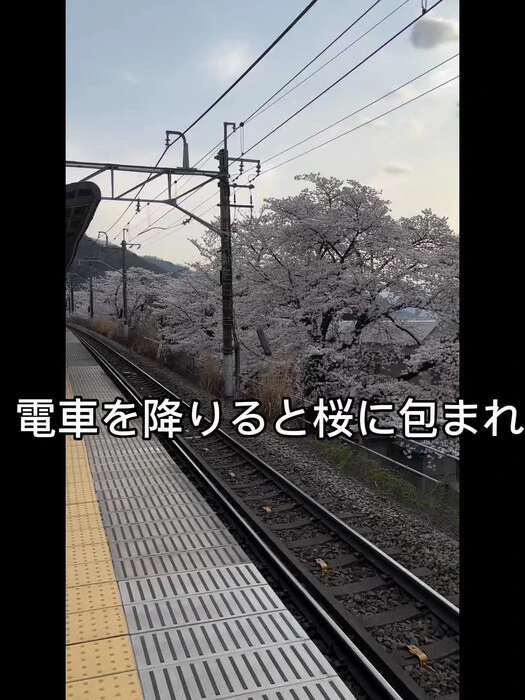 画像923